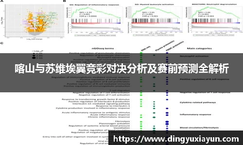 喀山与苏维埃翼竞彩对决分析及赛前预测全解析