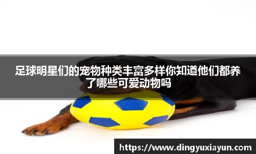 足球明星们的宠物种类丰富多样你知道他们都养了哪些可爱动物吗